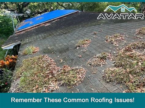 Remember These Common Roofing Issues Tampa Roofers