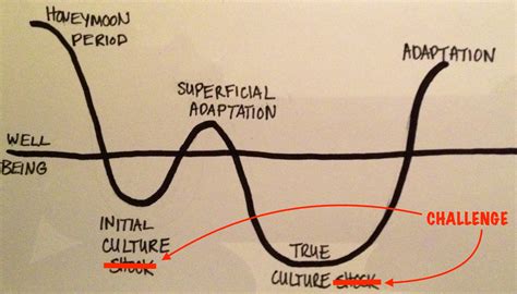 Culture.Shock.Curve - The Culture Mastery