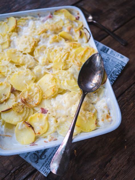 Gratins Idées de recettes pour repas faciles et rapides