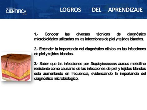 SOLUTION Microbiolog A E Inmunol Infecciones En Piel Semana 12 16