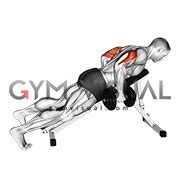 Dumbbell Incline Triceps Kickback Male