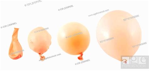 Four Stages Of Balloon Inflation Isolated Stock Photo Picture And Low