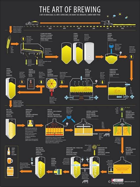 The Art Of Brewing Malt Beer Beer Infographic Craft Beer Design