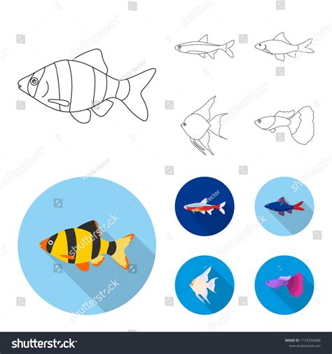 Angelfish Common Barbus Neonfish Set Collection Stock Vector Royalty