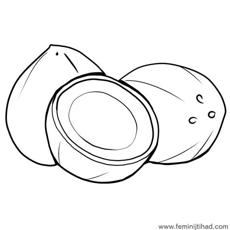 Coconut Coloring Printable Coloring Pages