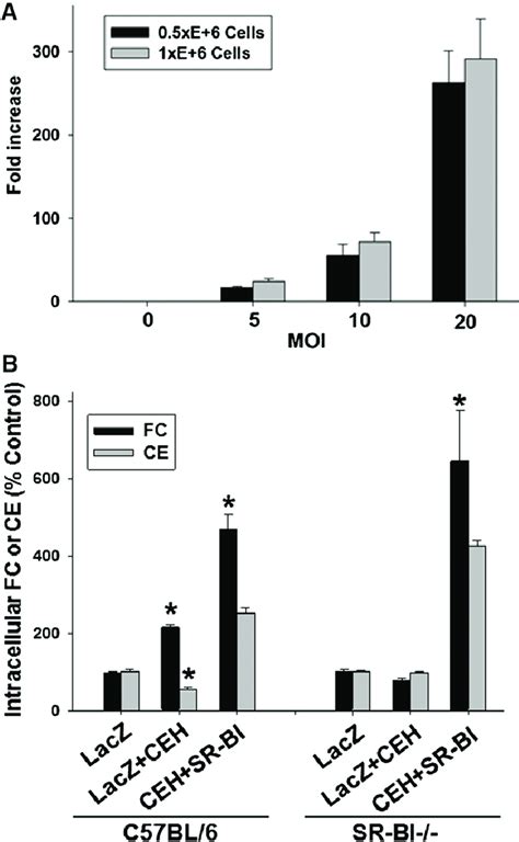 Ceh Hydrolyzes Sr Bi Delivered Hdl Ce A Primary Hepatocytes From