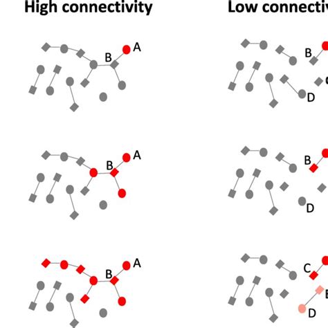 Schematic Illustration Of Interactions Between Sexual Network Download Scientific Diagram