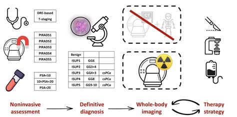 Snmmi Psma Pet In Patients With Prostate Cancer Gained Insights