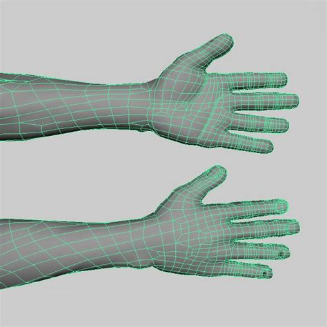 Realistic Human Arm 3d Model 35 Obj Fbx Ma Max Unknown Free3d