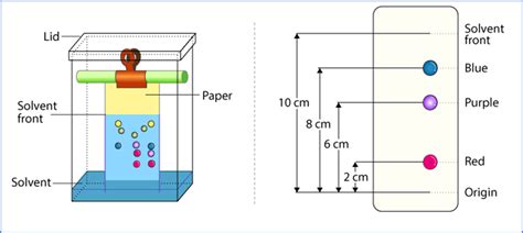 Paper chromatography - PharmaSciences