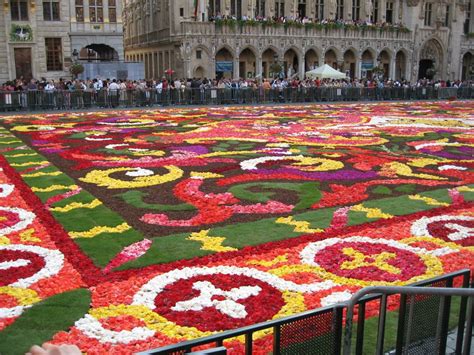 Brussels Flower Carpet - XarJ Blog and Podcast