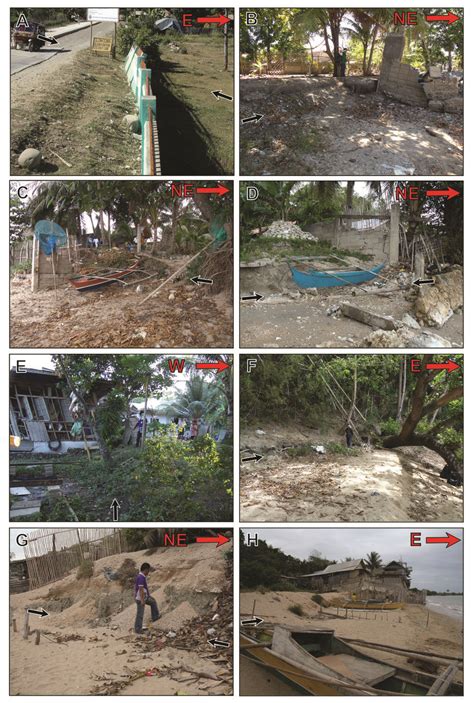 Damage caused by the ground rupture to structures and vegetation. (A ...