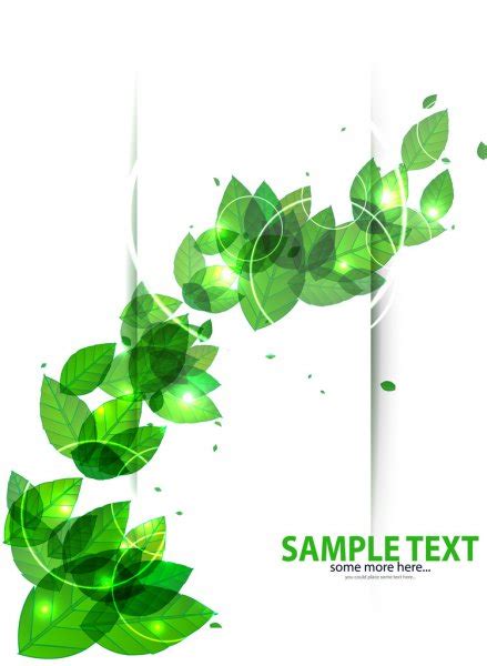 Vector Green Leaf Banner — Stock Vector © Yasnatendp 14571507