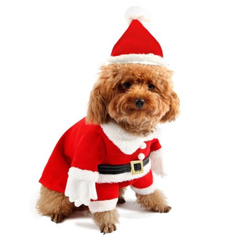 Disfraz De Papa Noel Para Perros Comprar Precio Y Opini N