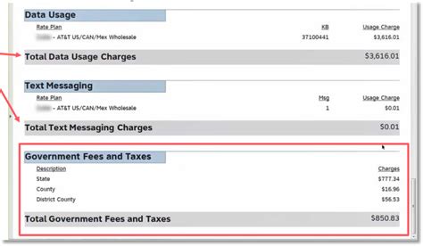 Billing Invoice Overview Example Invoices With Domestic Solutions