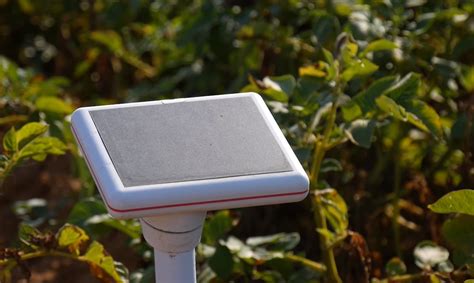 Using soil moisture sensors for irrigation management | Cropaia