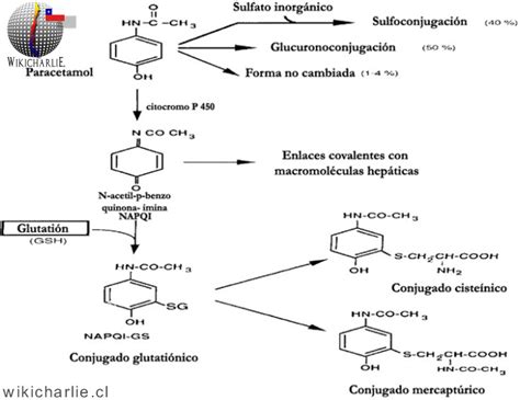 Paracetamol Wikicharlie