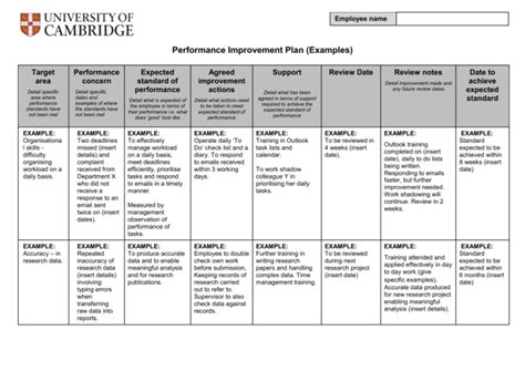 Performance Improvement Plan (Examples)