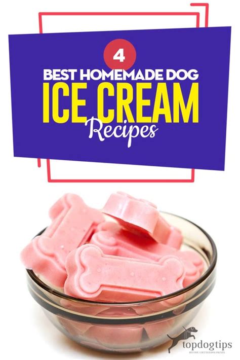 4 Best Homemade Dog Ice Cream Recipes To Cool Off Your Dogs