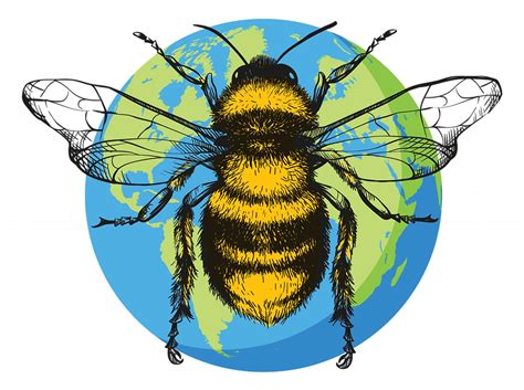 Charities That Help Save The Bees Around The World