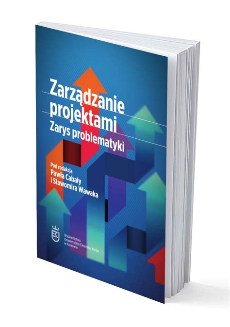 PDF Zarządzanie projektami Zarys problematyki