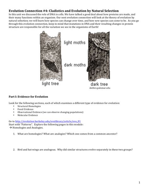 Evolution Connection Unit 4 AHS