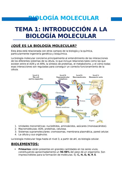 Biolog A Molecular Biolog A Molecular Tema Introducci N A La