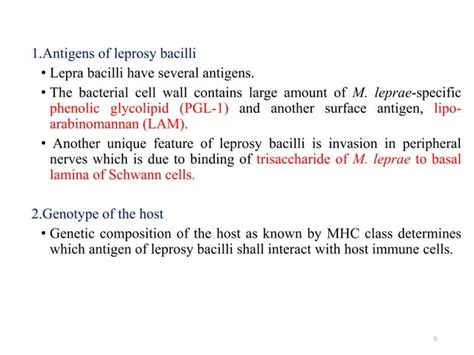 Leprosy Pharmacologynotes Types Clinicalfeatures Ppt