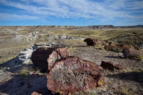 Petrified Forest National Park Self Guided Audio Tour Getyourguide