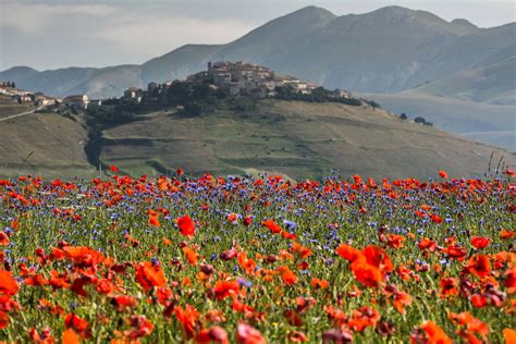 Nuove Aree Di Sosta Per Ammirare La Fioritura Del Pian Grande Di