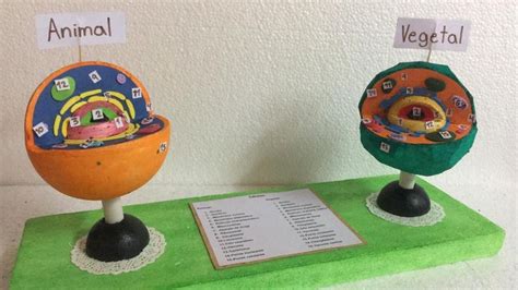 Maquetas De Células