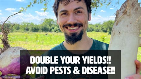 Double Your Yields, Avoid Pests, & Save Water