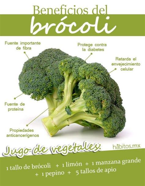 Los Beneficios De Las Frutas Y Las Verduras Artofit