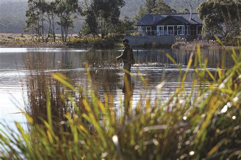 Currawong Lakes Tasmania Trout Guides Lodges Tasmania