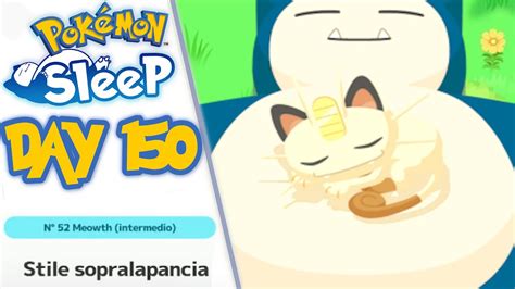 Pokémon Sleep【ポケモンスリープ】day 150 Atop Belly Sleep With Meowth Snoozing