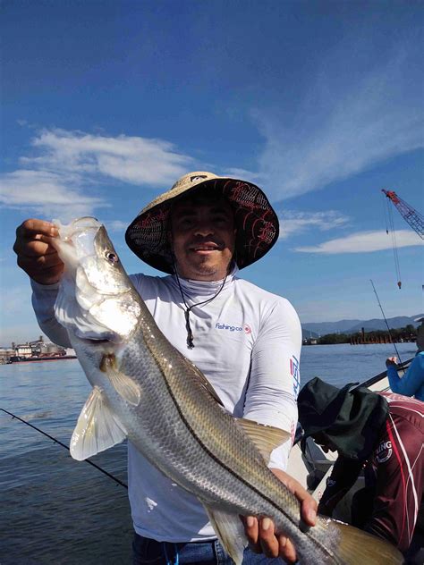 Guia De Pesca No Litoral Sul Pesca De Robalo