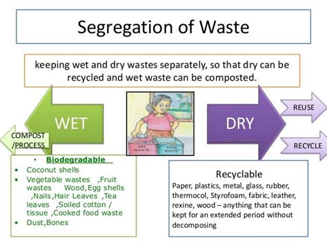 Waste Segregation Chart