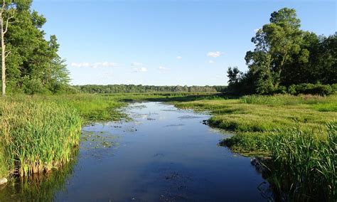 Grass Lake 2020 Best Of Grass Lake Mi Tourism Tripadvisor