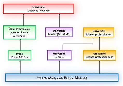 BTS Analyses de biologie médicale ABM Lycée Jean Monnet