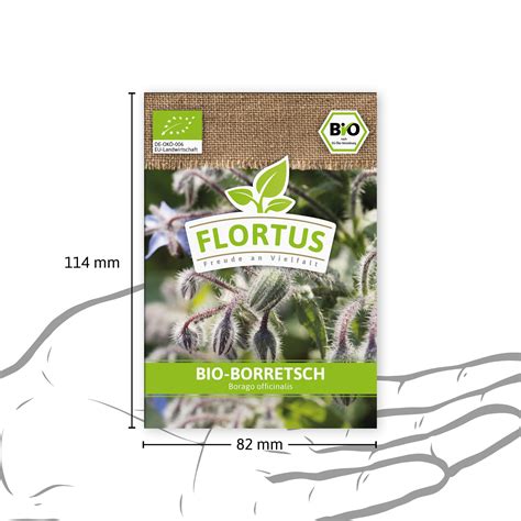 Borretsch BIO Borretschsamen Von FLORTUS