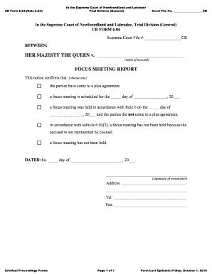 Fillable Online Court Nl FOCUS MEETING REPORT Courtnlca Fax Email