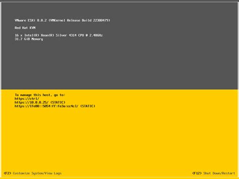 VMware ESXi 8 : Initial Settings : Configure Networking : Server World