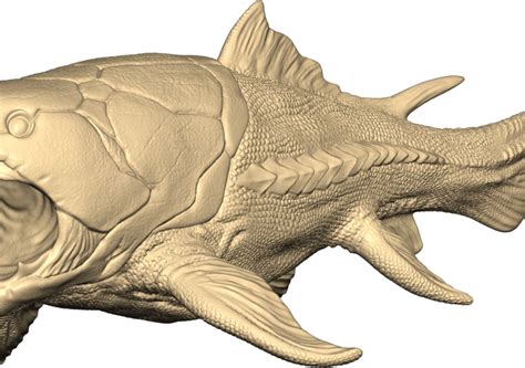 Dunkleosteus | CGTrader