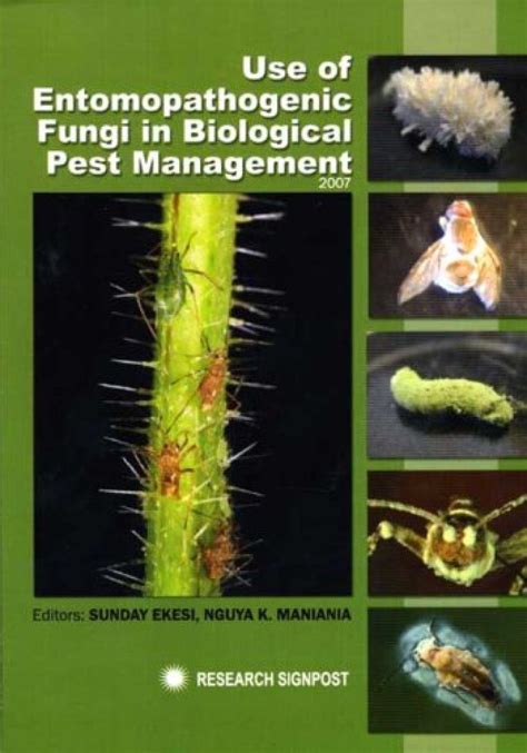 Use Of Entomopathogenic Fungi In Biological Pest Management Nhbs