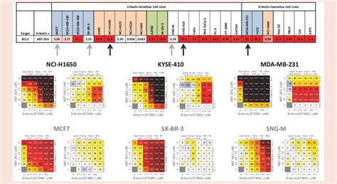 Synergy Score Heat Map And Representative Growth Inhibition Dose