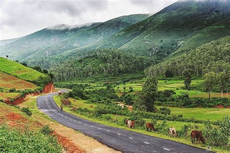 deomali waterfall Koraput, Tour MyOdisha