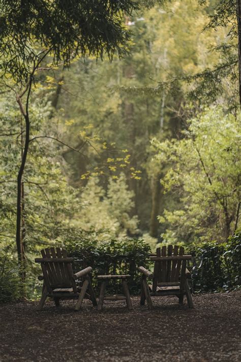 Green Wooden Table With Chairs · Free Stock Photo