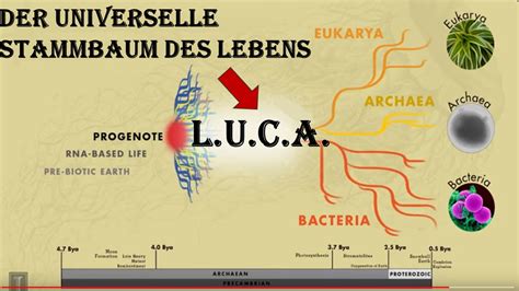 Entstehung Des Lebens Kapitel 10 Last Universal Common Ancestor Luca