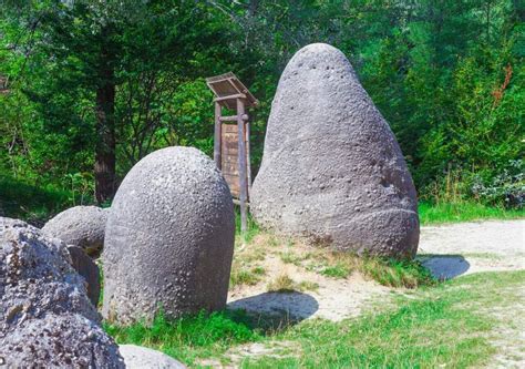 Las Misteriosas Piedras Vivas Que Crecen Y Se Mueven D Nde Est N Y