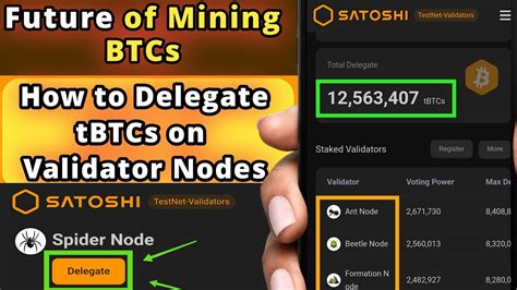 BTCs Validator Delegate And Staking Explained BTCs Mining Rewards On